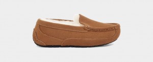 Ugg Ascot Kids' Slippers Brown | UXZVNKW-76