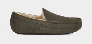 Ugg Ascot Men's Slippers Grey | VJLRNCK-71