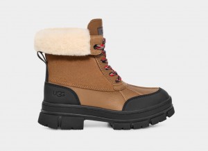 Ugg Ashton Addie Women's Boots Brown | JXWBVKE-19