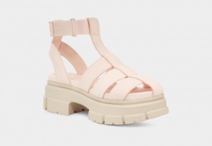 Ugg Ashton Strappy Women's Sandals Beige | COHDAES-76