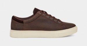 Ugg Baysider Low Weather Men's Sneakers Brown | EVKTYBN-64