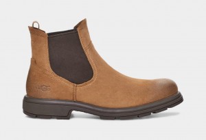 Ugg Biltmore Men's Chelsea Boots Brown | UBVPQEK-80