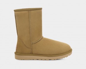 Ugg Classic II Women's Boots Brown | PYIXKJR-37