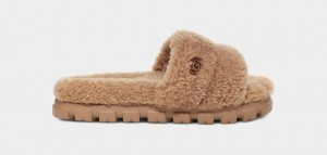 Ugg Cozetta Curly Women's Slides Brown | RMJIULY-24