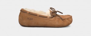 Ugg Dakota Kids' Slippers Brown | WEXGRJC-74