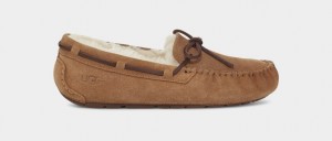 Ugg Dakota Women's Slippers Brown | QOBCXVT-93