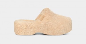 Ugg Fuzz Sugar Women's Clogs Beige | DVJTYPR-78