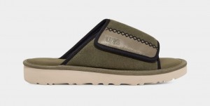 Ugg Goldencoast Men's Slides Green | QWZOBYA-59