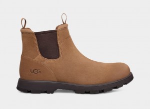 Ugg Hillmont Men's Chelsea Boots Brown | OHWYRSC-98