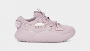 Ugg LA Cloud Lace Women's Sneakers Rose / Grey | ZWJQBXK-10