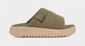 Ugg Maxxer Men's Slides Green | UGJIRHV-59