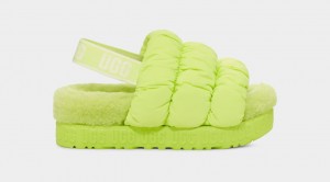 Ugg Scrunchita Women's Slippers Green | DKTZXGI-92