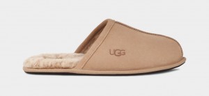 Ugg Scuff Men's Slippers Brown | XDNHYUC-08