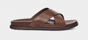 Ugg Wainscott Men's Slides Brown | UWNMPQK-05