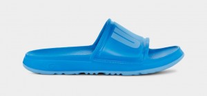 Ugg Wilcox Men's Slides Blue | HUDLSPR-07