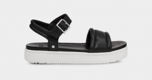 Ugg Zayne Strap Women's Sandals Black | QVRTKYN-17