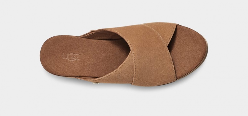 Ugg Abbot Women's Slides Brown | TDYKGNJ-09