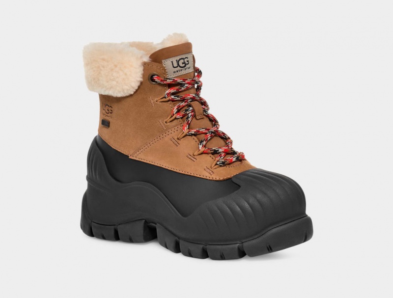 Ugg Adiroam Hiker Women's Boots Brown | EXGVRFJ-29