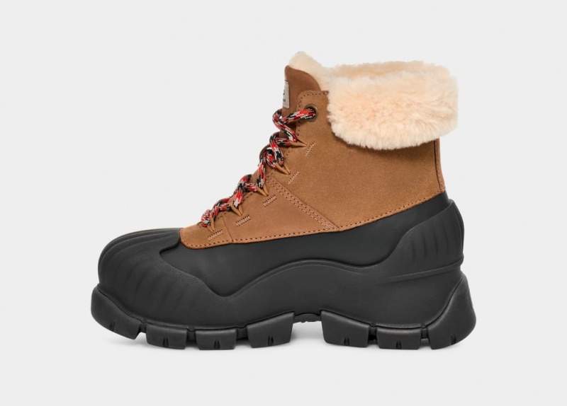 Ugg Adiroam Hiker Women's Boots Brown | EXGVRFJ-29