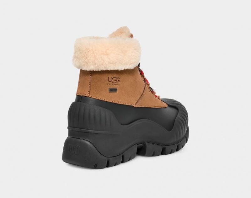 Ugg Adiroam Hiker Women's Boots Brown | EXGVRFJ-29