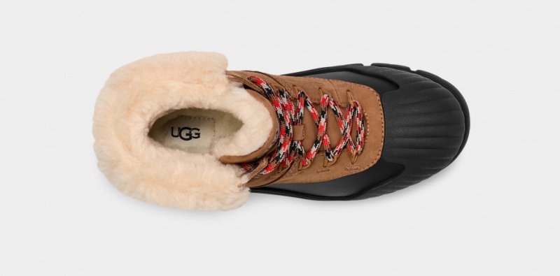 Ugg Adiroam Hiker Women's Boots Brown | EXGVRFJ-29