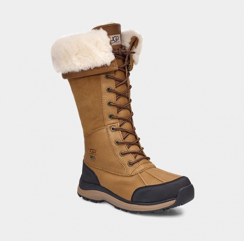 Ugg Adirondack III Tall Women's Boots Brown | VHFWLQX-34