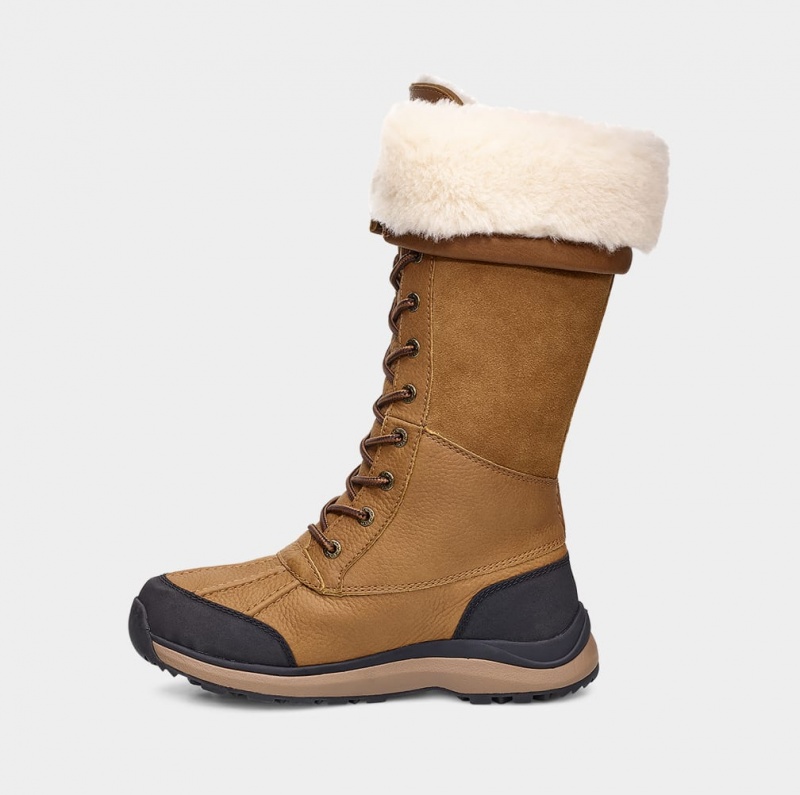 Ugg Adirondack III Tall Women's Boots Brown | VHFWLQX-34