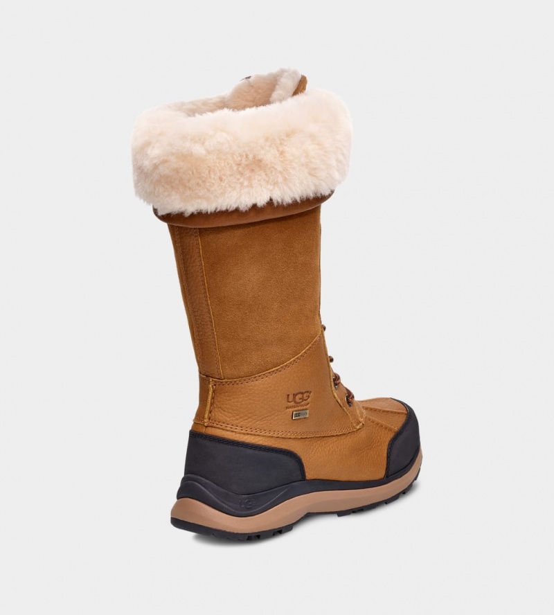 Ugg Adirondack III Tall Women's Boots Brown | VHFWLQX-34