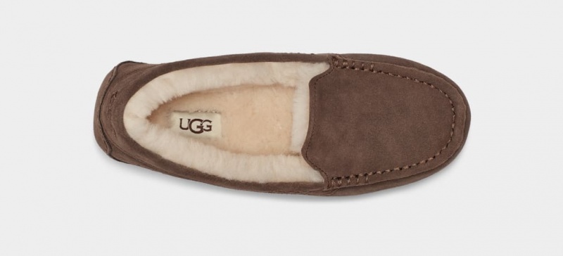 Ugg Ansley Women's Moccasins Chocolate | UQDZLPB-85