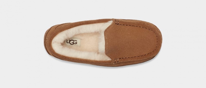 Ugg Ascot Kids' Slippers Brown | UXZVNKW-76