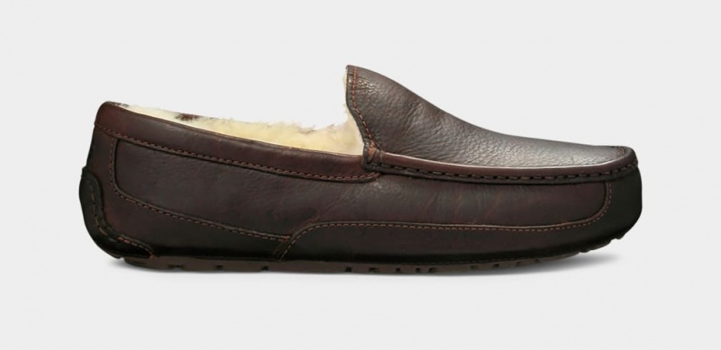 Ugg Ascot Leather Men's Moccasins Dark Brown | OLRHVWU-17