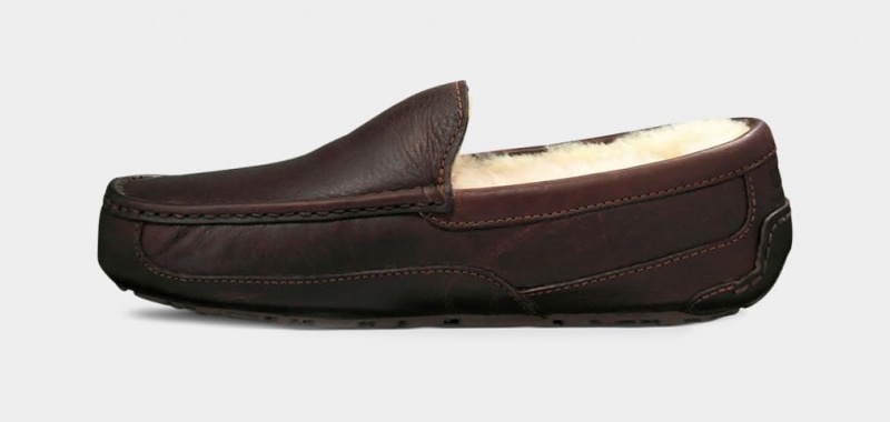 Ugg Ascot Leather Men's Moccasins Dark Brown | OLRHVWU-17