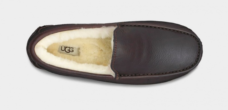 Ugg Ascot Leather Men's Moccasins Dark Brown | OLRHVWU-17