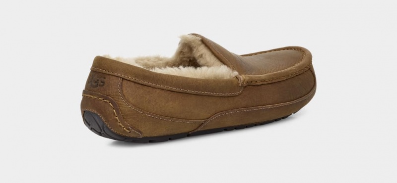 Ugg Ascot Matte Leather Men's Moccasins Brown | ONPJLGC-19