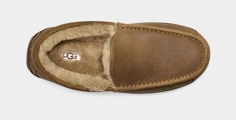 Ugg Ascot Matte Leather Men's Moccasins Brown | ONPJLGC-19