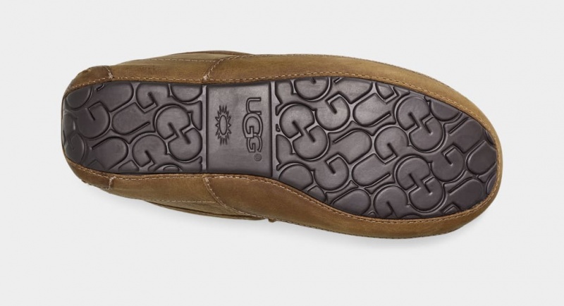 Ugg Ascot Matte Leather Men's Moccasins Brown | ONPJLGC-19