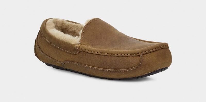 Ugg Ascot Matte Leather Men\'s Moccasins Brown | ONPJLGC-19