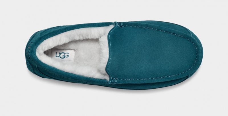 Ugg Ascot Men's Moccasins Blue | LTNWSZR-30