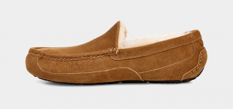 Ugg Ascot Men's Moccasins Brown | MREPKCZ-37