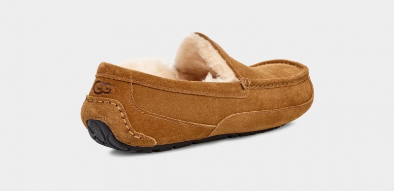 Ugg Ascot Men's Moccasins Brown | MREPKCZ-37