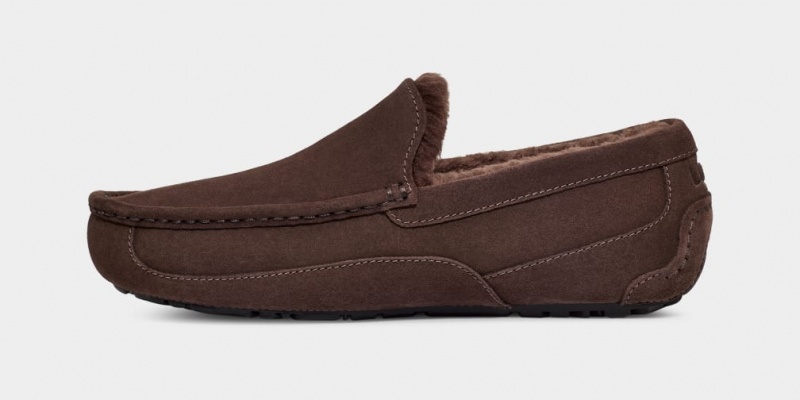 Ugg Ascot Men's Moccasins Brown | SRVMWIO-62