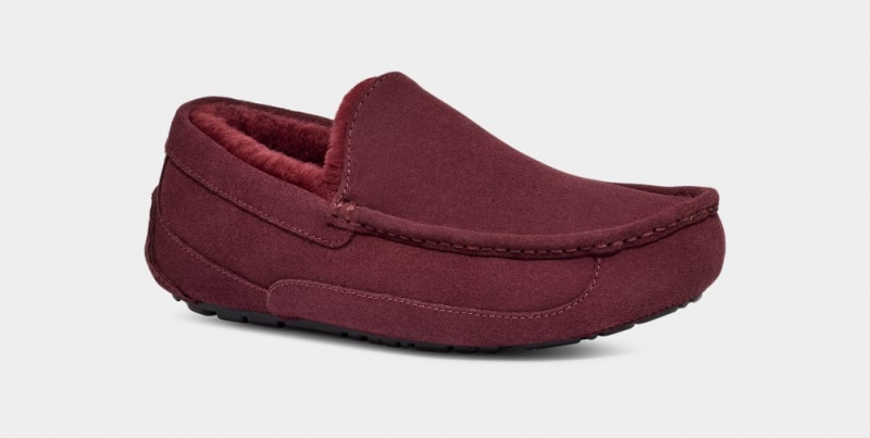 Ugg Ascot Men's Moccasins Purple | HITXZKL-31