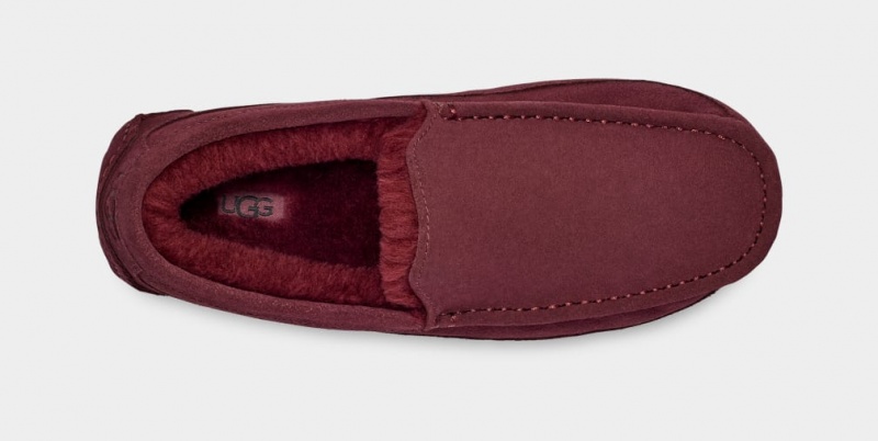 Ugg Ascot Men's Moccasins Purple | HITXZKL-31