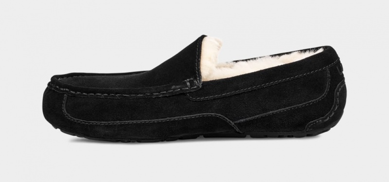 Ugg Ascot Men's Slippers Black | FPHTCEY-45