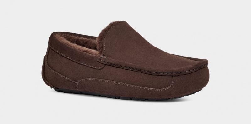 Ugg Ascot Men's Slippers Brown | UQMVGYO-68