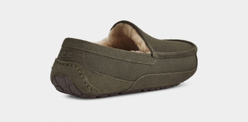 Ugg Ascot Men's Slippers Grey | VJLRNCK-71