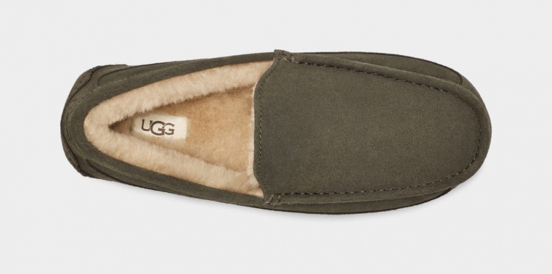 Ugg Ascot Men's Slippers Grey | VJLRNCK-71