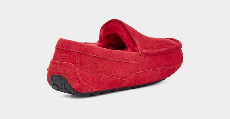 Ugg Ascot Men's Slippers Red | DHFKSPB-59