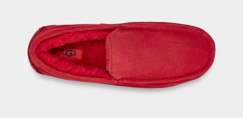 Ugg Ascot Men's Slippers Red | DHFKSPB-59