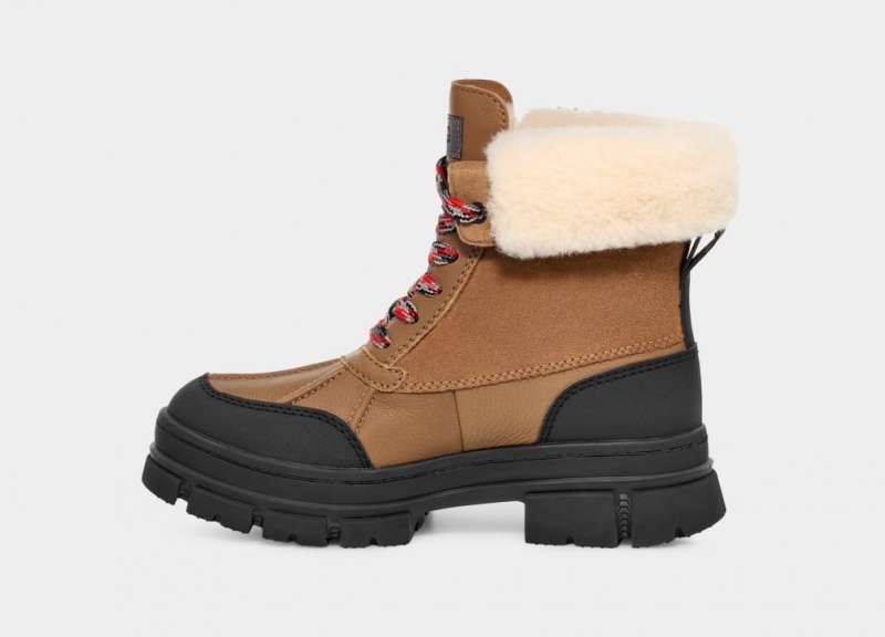 Ugg Ashton Addie Women's Boots Brown | JXWBVKE-19